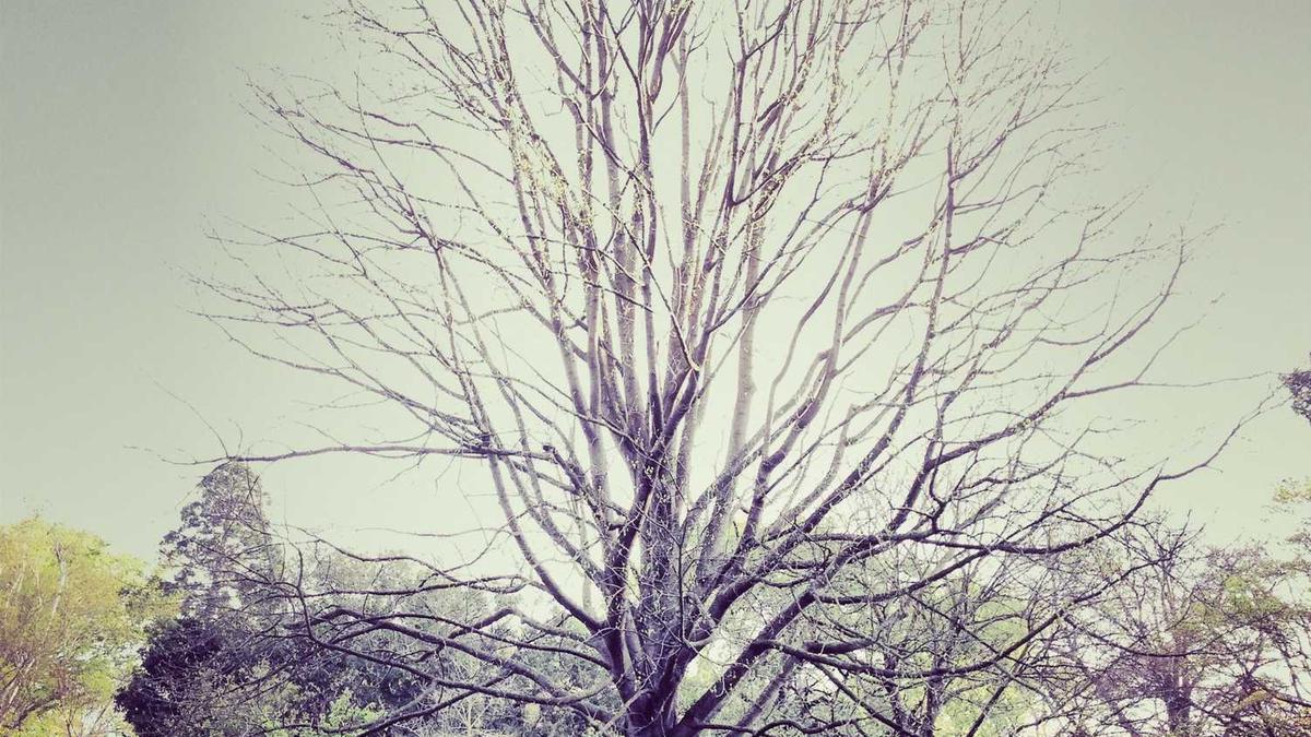 失眠该如何自救?