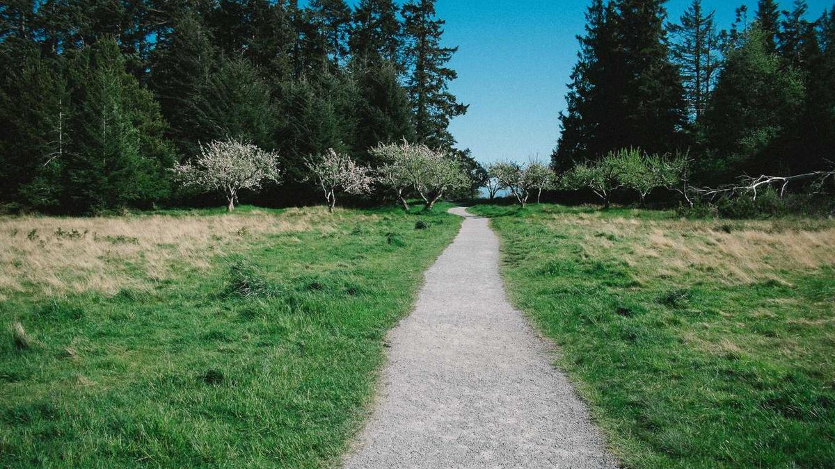 经常失眠应该怎么办好