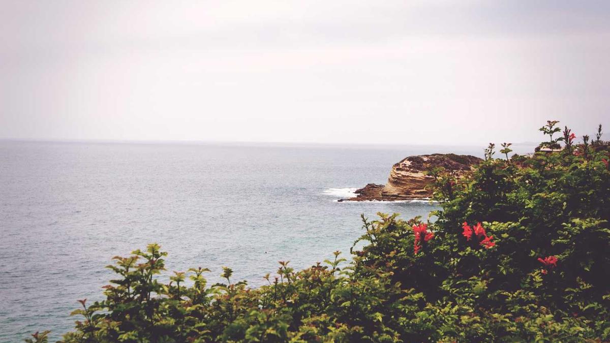 皮肤过敏一般会有什么症状