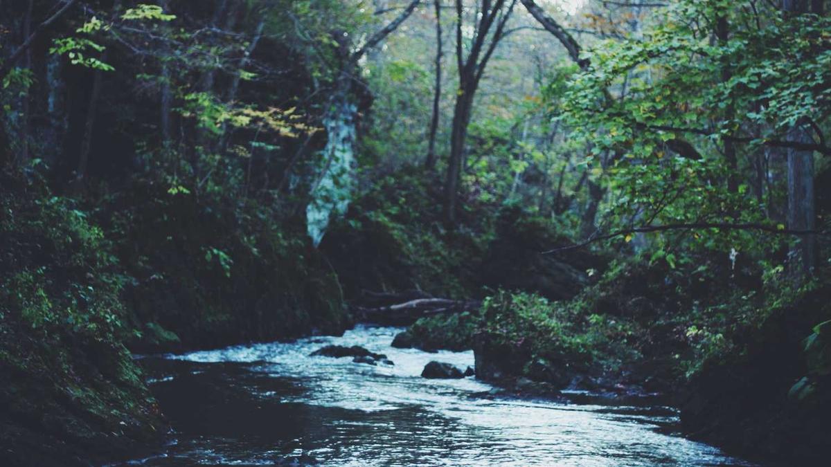 皮肤过敏的症状都有哪些