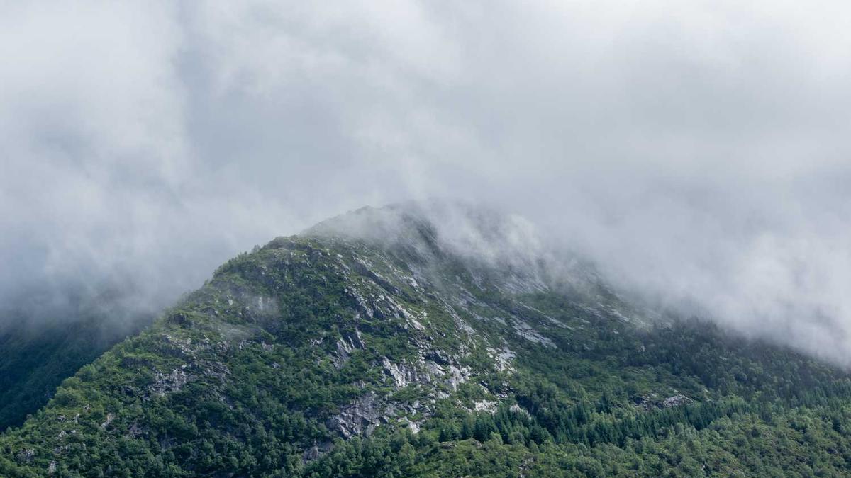 一张图判断:小猫咪是不是过敏了?