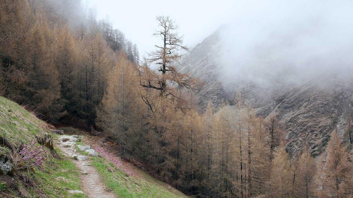 儿童化妆品过敏脸部症状、图片,小孩用大人化妆品过敏怎么办