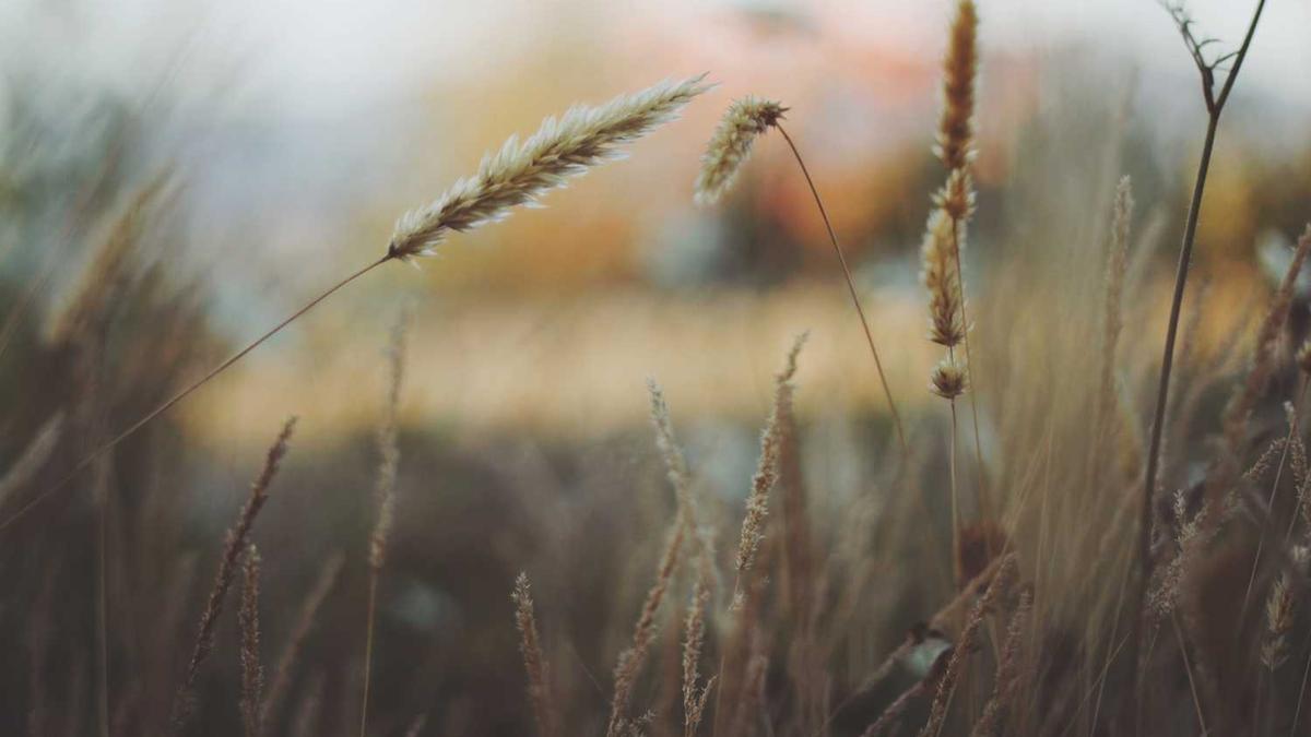 那些相亲的经历–上海孔