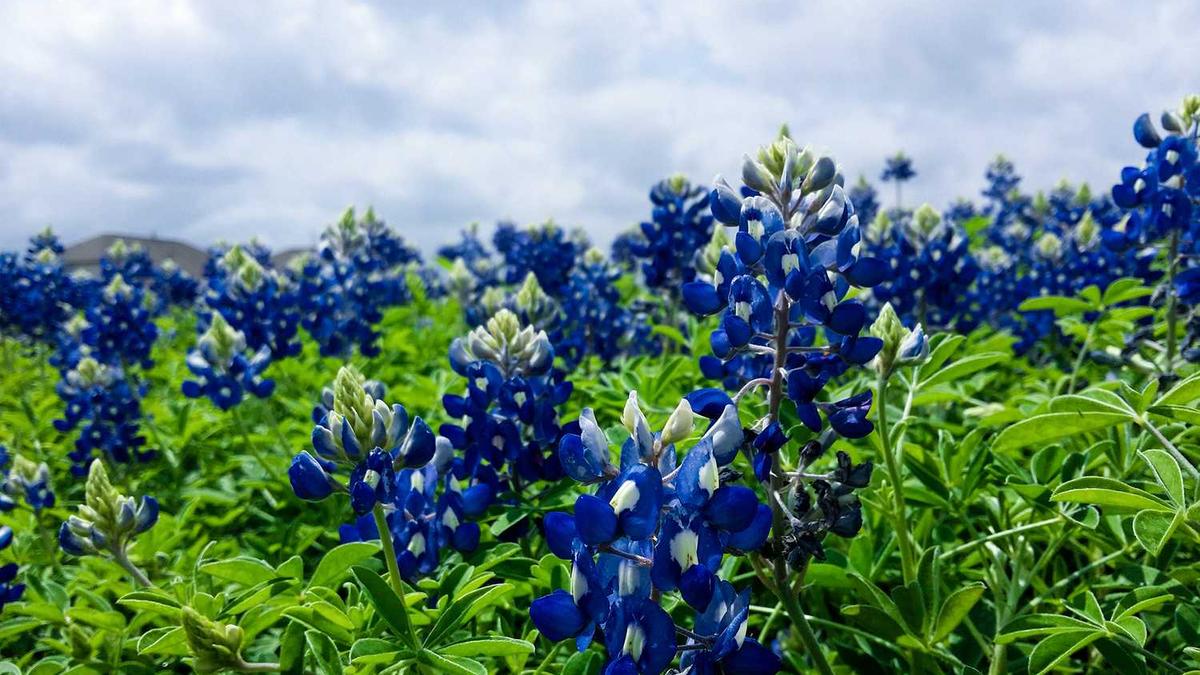 乔迁红包怎么回复别人