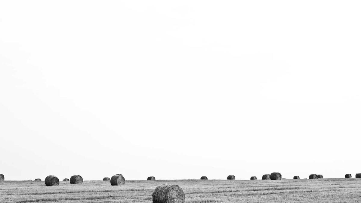 厦门后古拍摄婚纱照怎么样?