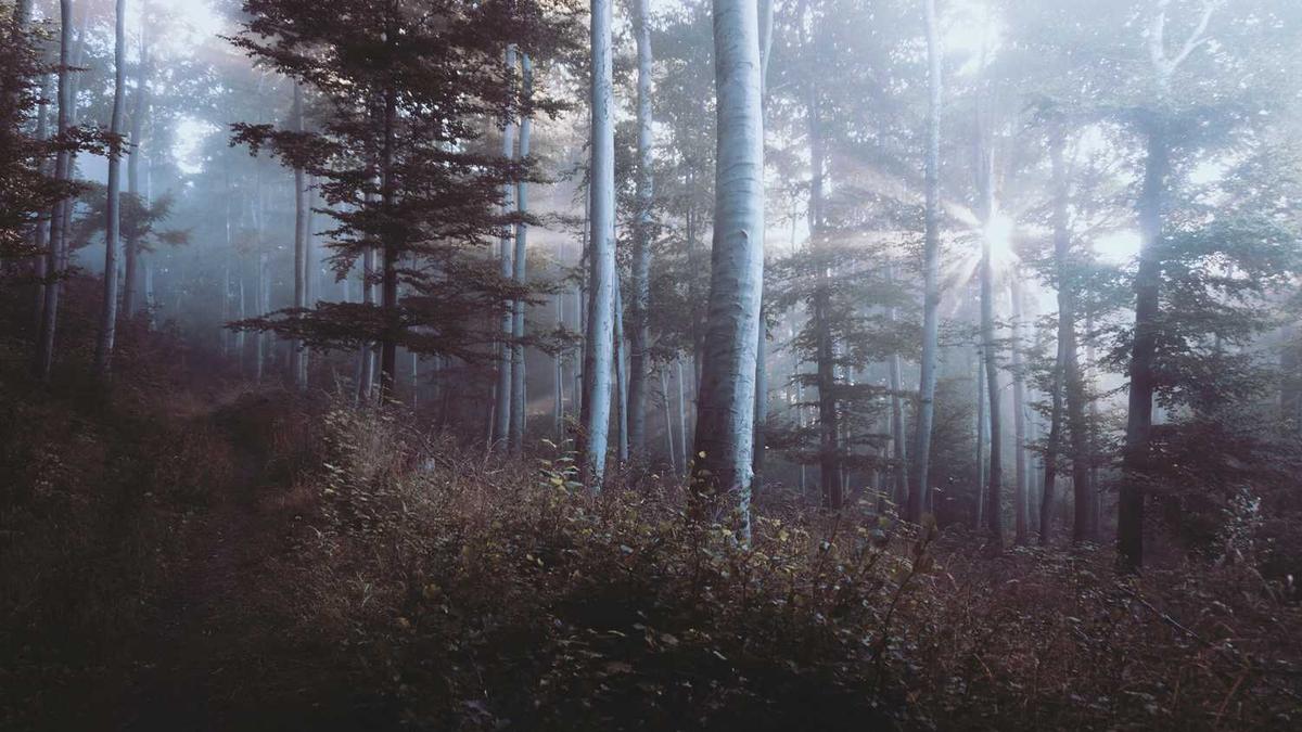 免费聊天的同城交友软件有哪些?