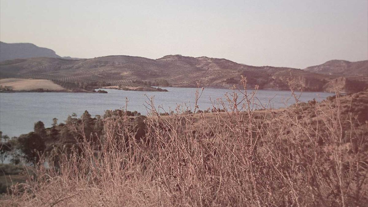 中央厨房设备采购方向及预算规划:确保高效运营的关键