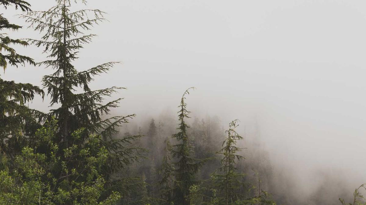 运动世界校园ai运动记录怎么删运动世界校园保存到本地的记录怎么找_百…