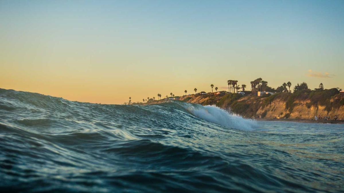 SEO VS PPC:关注点