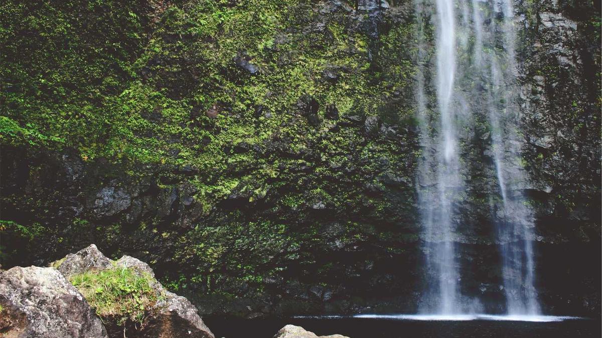 电视剧《沉默的荣耀》分集剧情介绍