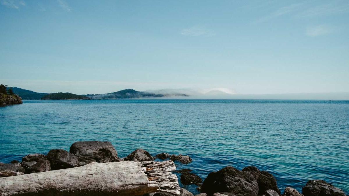 电视剧沉默的莱耀的剧情简介和人物结局。