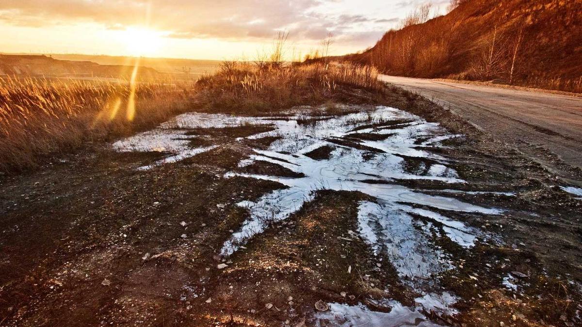 2025年央视中秋晚会有哪些明星