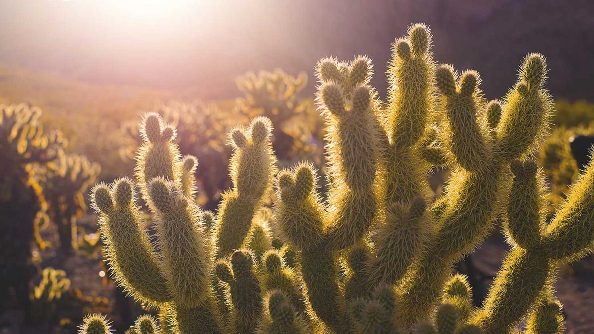 生活大爆炸第十季剧情介绍(1-24全集)