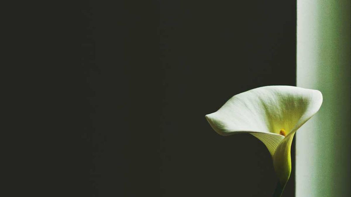 喜茶怎么样?真的那么好喝么?