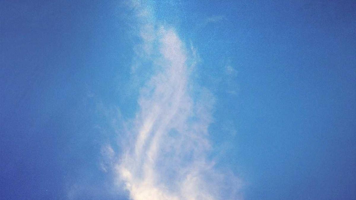 喝醉酒了喝茶可以解酒吗 喝完酒后第二天喝什么