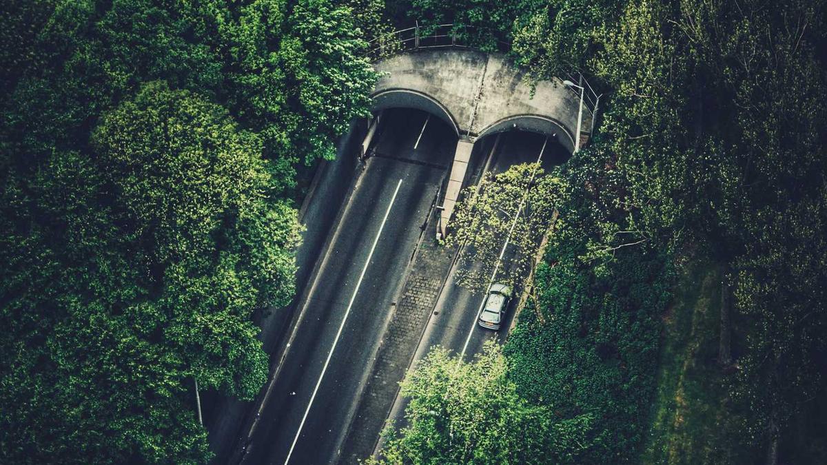 短视频是怎么赚钱的?5个方法教你做好抖音,赚钱并不难