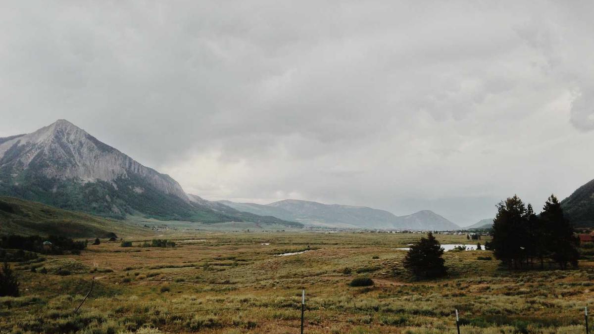 上海女教师出轨16岁学生尚不够成犯罪