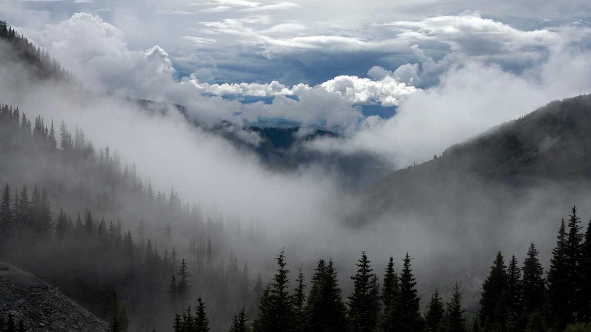 高血压怎么调理才能恢复