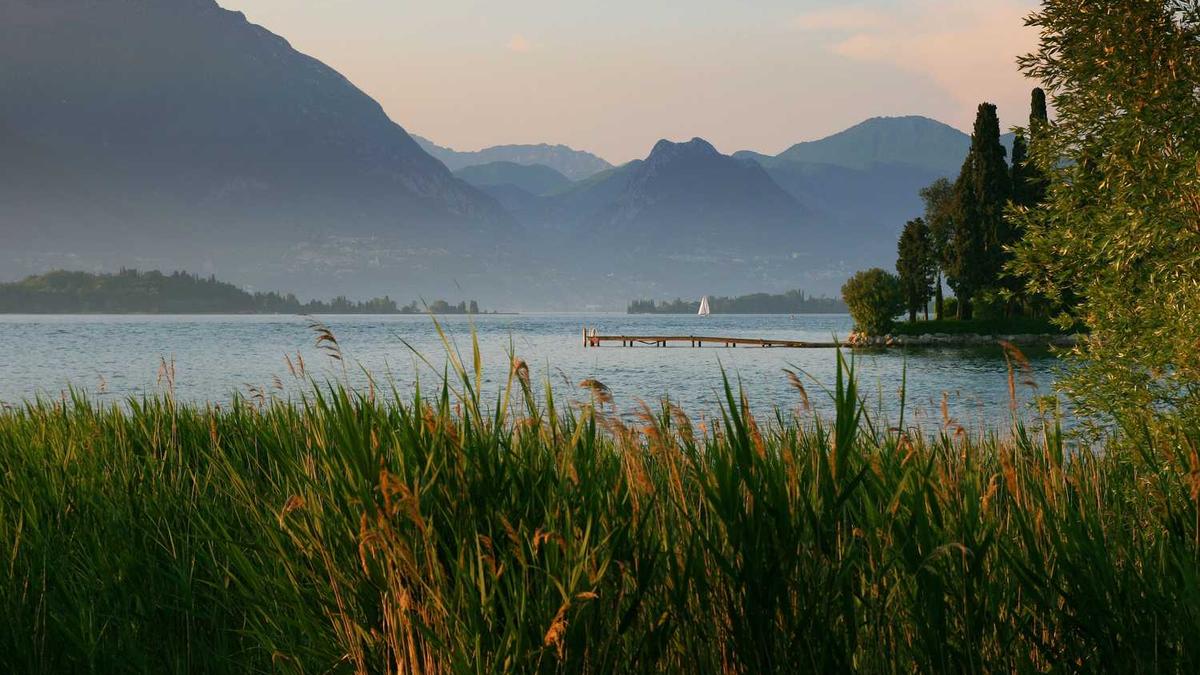 过敏性鼻炎吃什么药