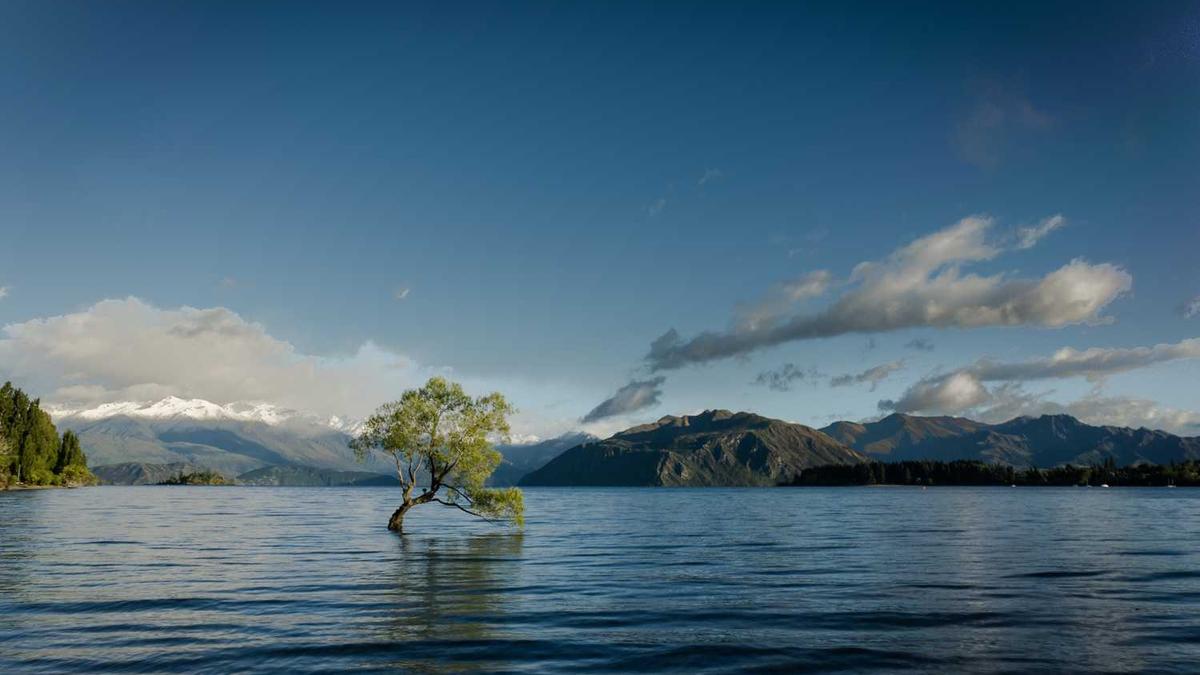 喝绿茶会上火么 喝绿茶上火还是降火