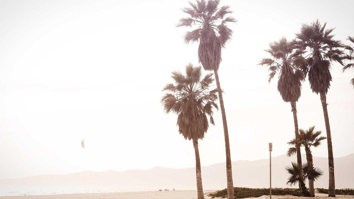 seo网站推广怎么做?