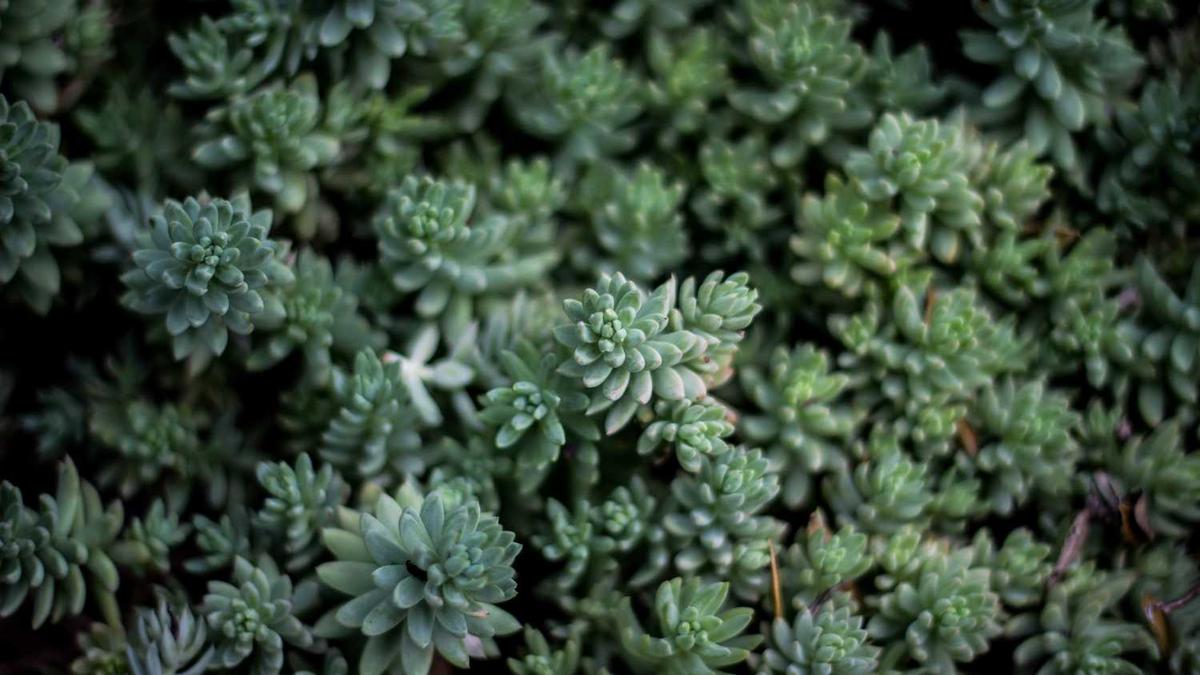 穷小子的风流韵事 口述我和女顾客聊天的过程